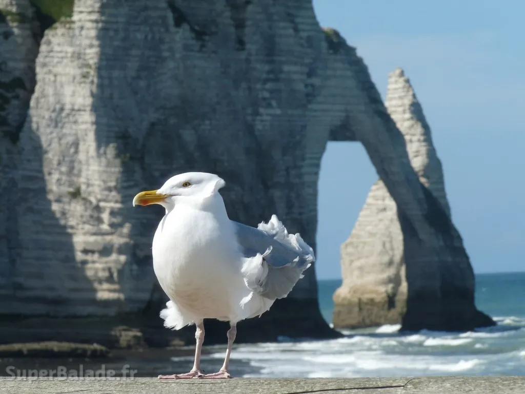 Super Balade à Etretat