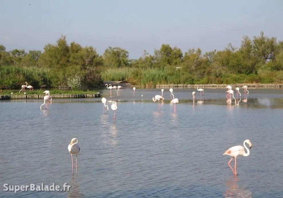 Super Balade à Saintes-Marie-de-la-Mer