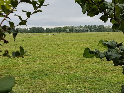 Super Balade à Sougéal