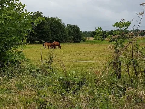 Super Balade à Sougéal