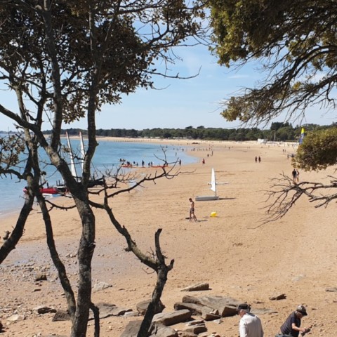 Noirmoutier (85)